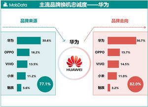 移動設備與互聯網數據 199IT洞察下的行業脈動